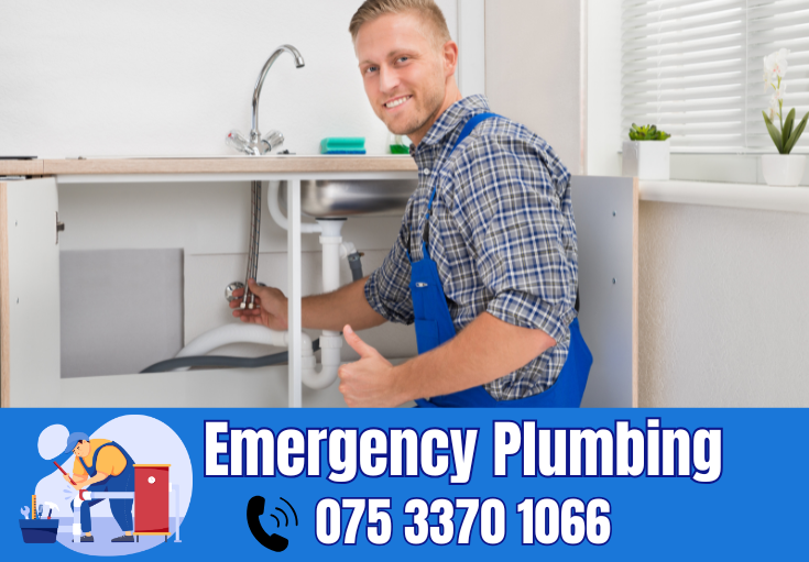  plumber Parkwood