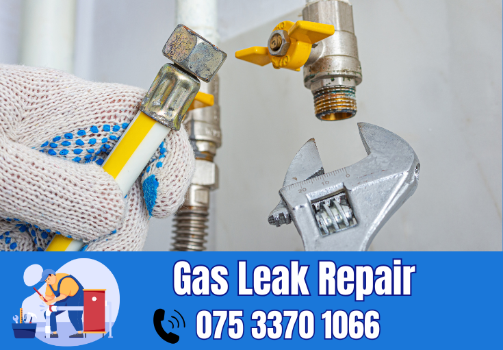 gas leak repair Gillingham