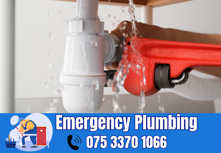  plumber Hempstead