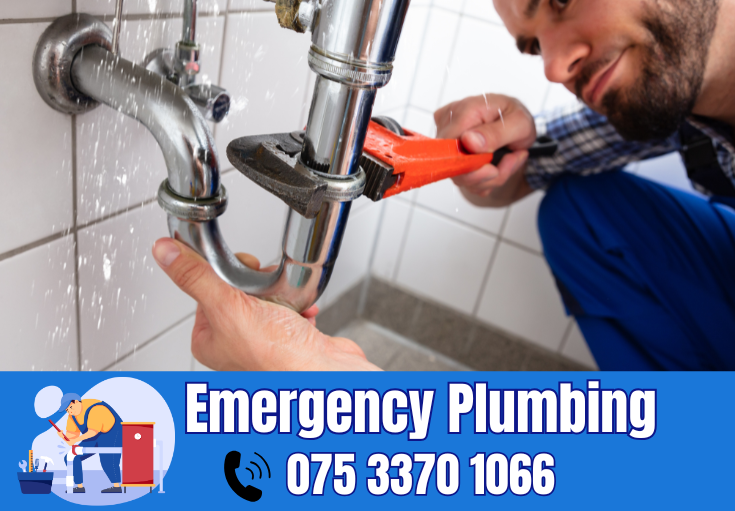  plumber Twydall