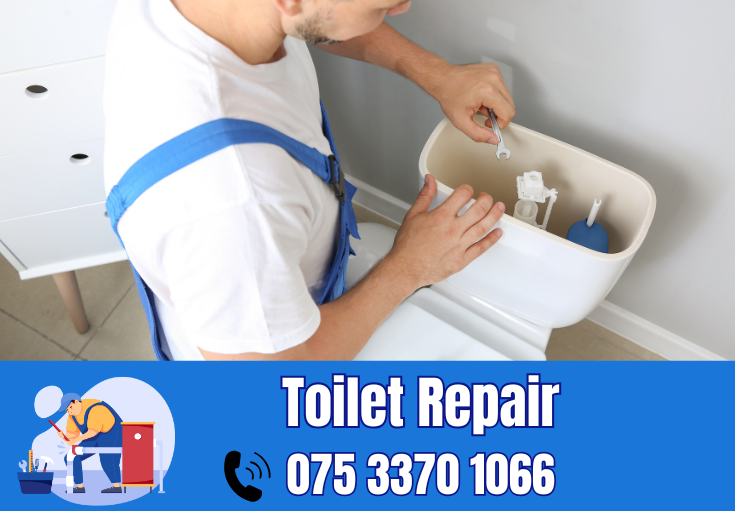 toilet repair Gillingham